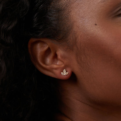 Κομψά σκουλαρίκια καταρράκτη